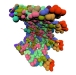 Visualization of Protein Tunnels Exploiting Cylindrical Projections